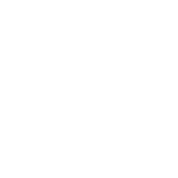 Linko A6 The World Answers