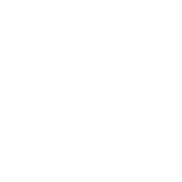 Zankou A4 Nightmare in Bloom