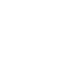 Zankou A6 Blood-Stained Eyes